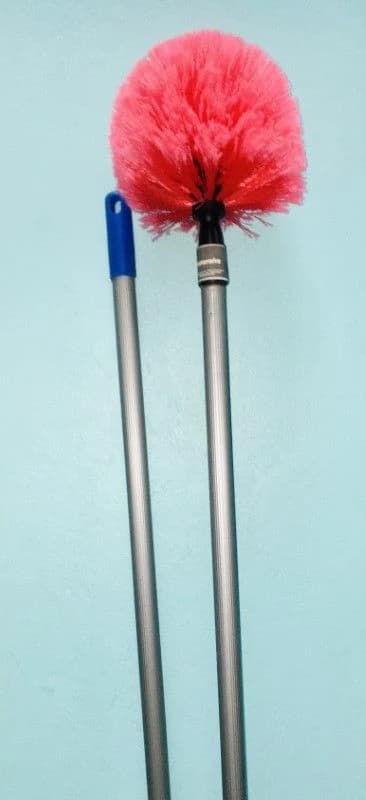 TBL Cobweb Broom Matarana La Palma Real product image