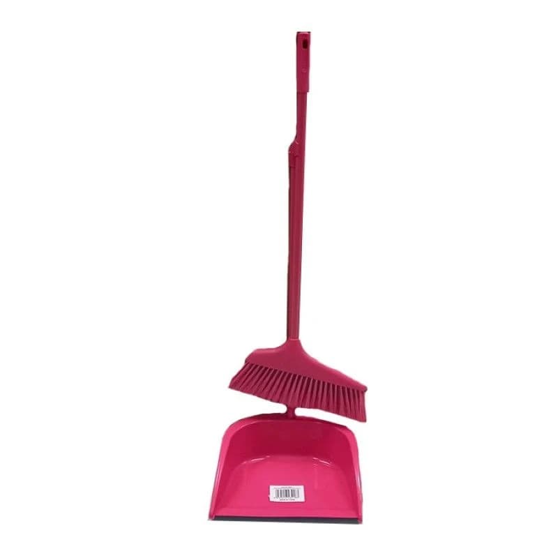 Long Handle Scoop with Broom product image